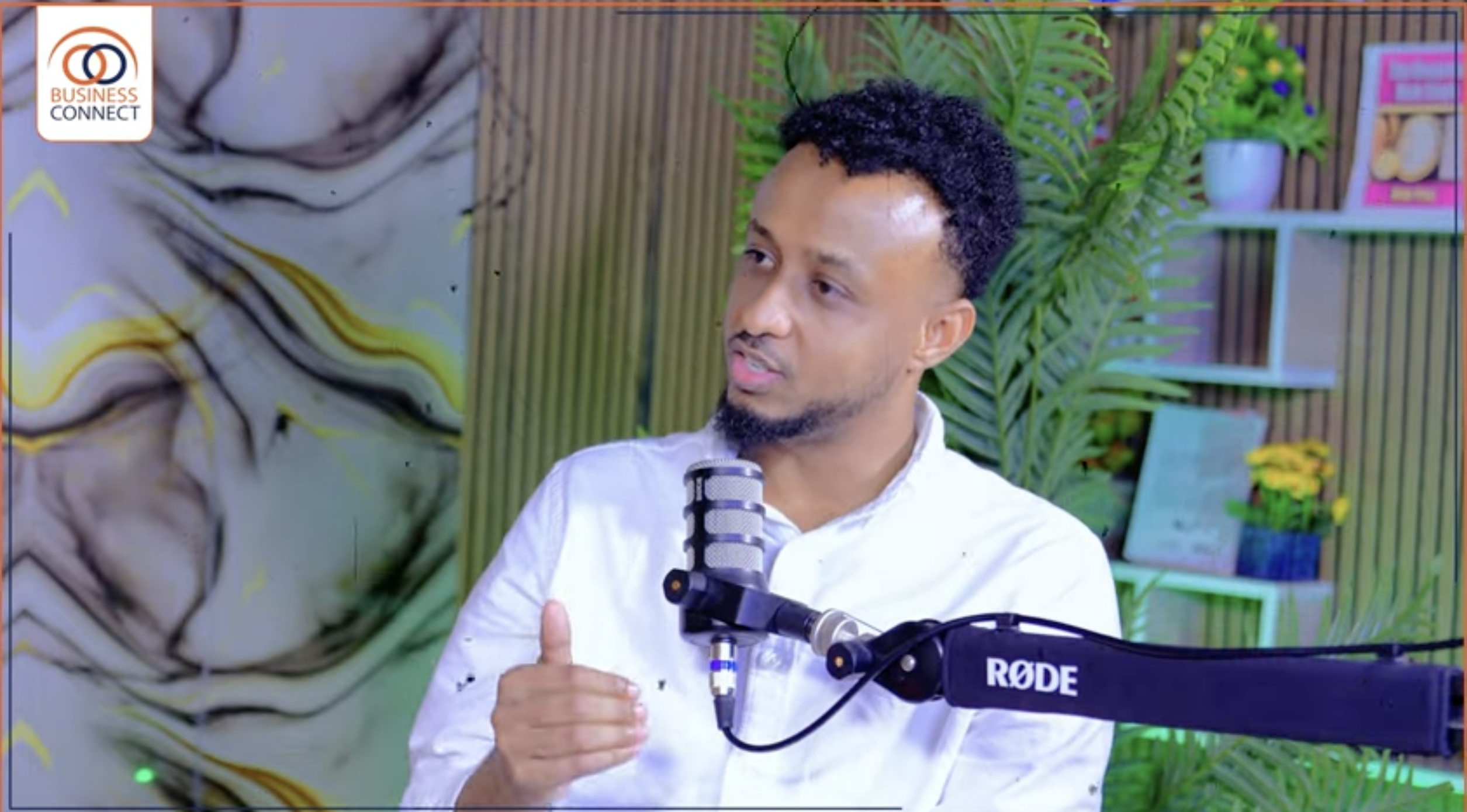 🎬 Interviews & Special Reports